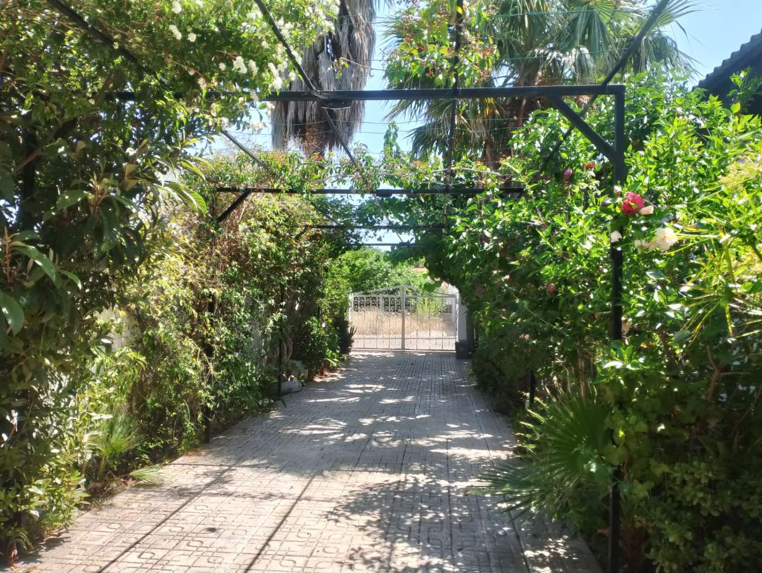 Casa con piscina en zona residencial