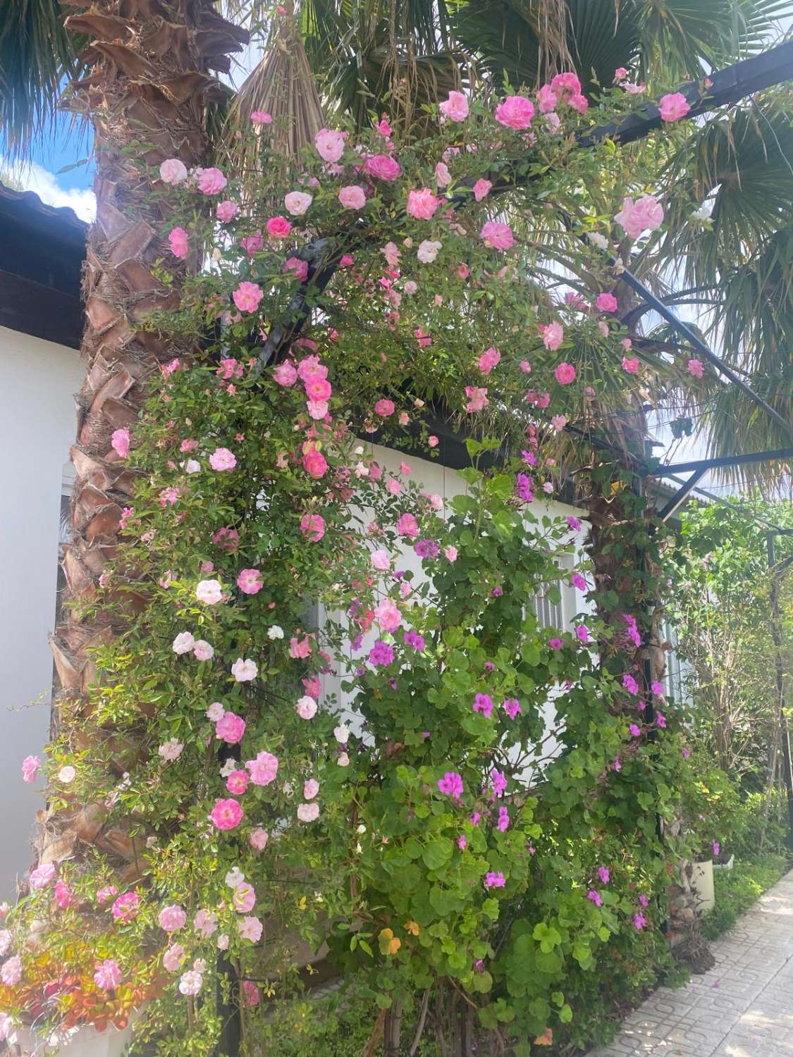 Casa con piscina en zona residencial