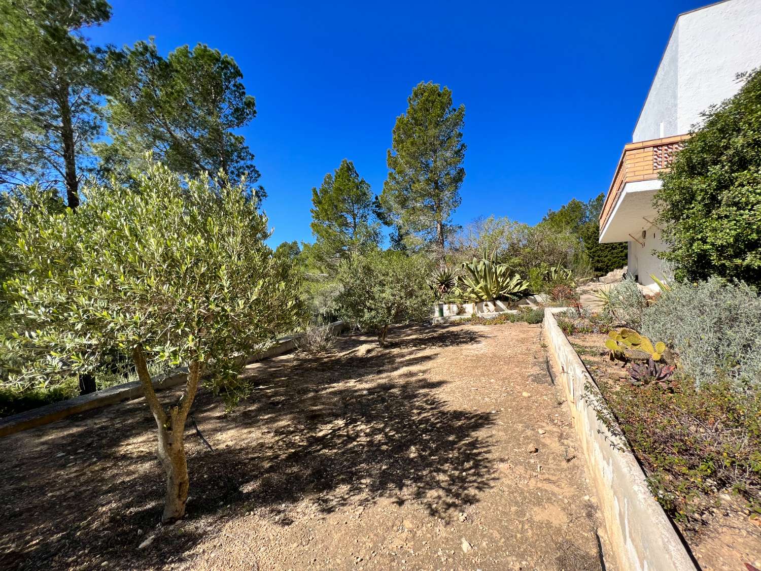 Casa indipendente con terrazzo e piscina