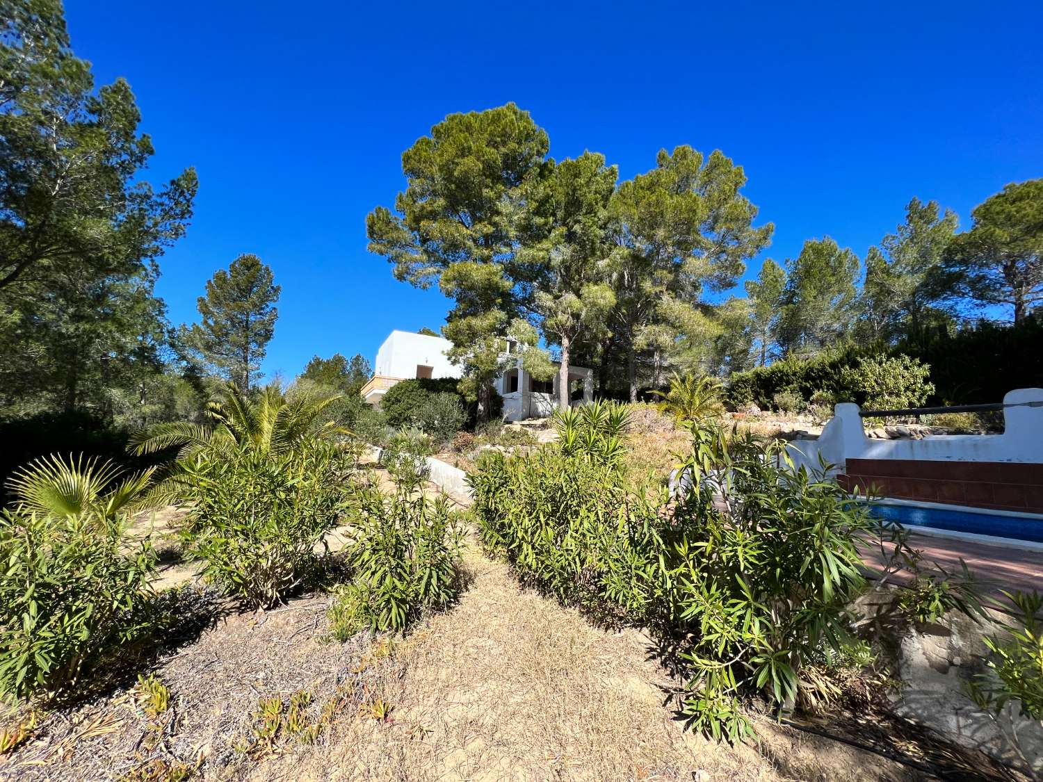 Casa indipendente con terrazzo e piscina