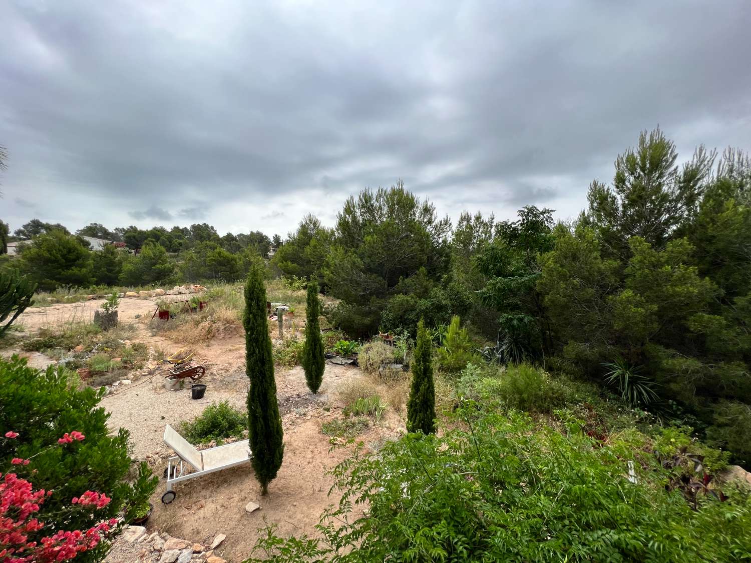 casa immersa nella natura
