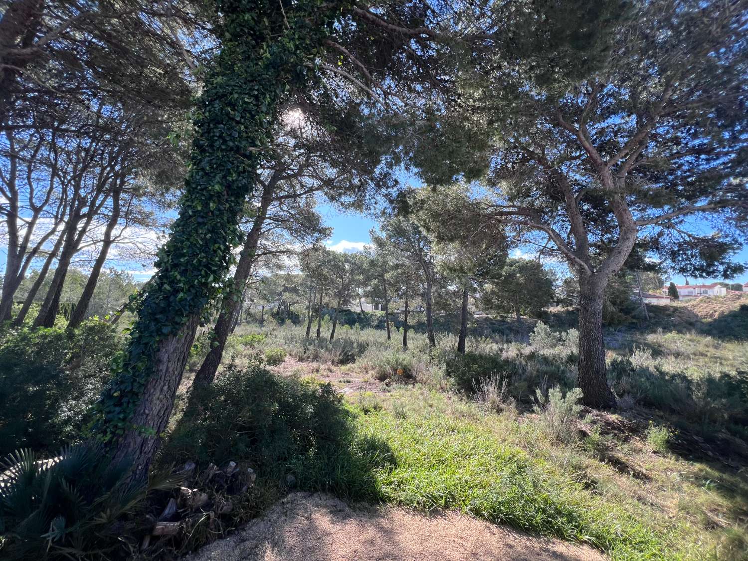 Haus zum verkauf in Les Tres Cales (L'Ametlla de Mar)