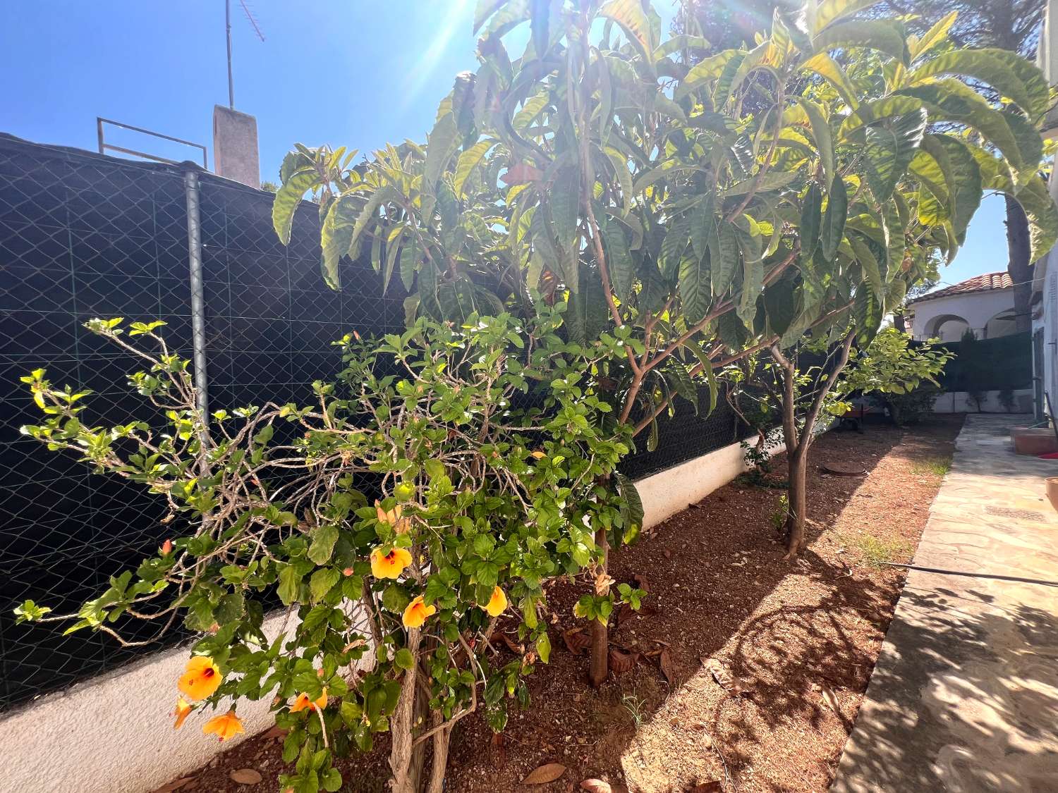 Casa independiente con piscina cerca del mar